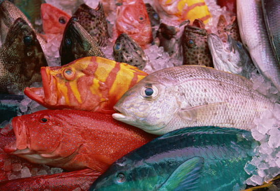 大木海産物レストラン