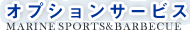 オプションサービス