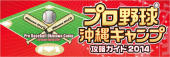 プロ野球攻略ｶﾞｲﾄﾞﾌﾞｯｸ.jpg