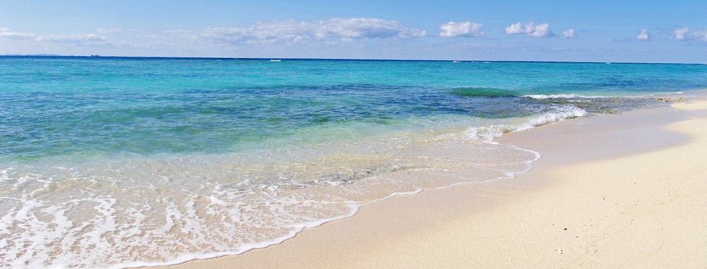 オンライン宿泊予約